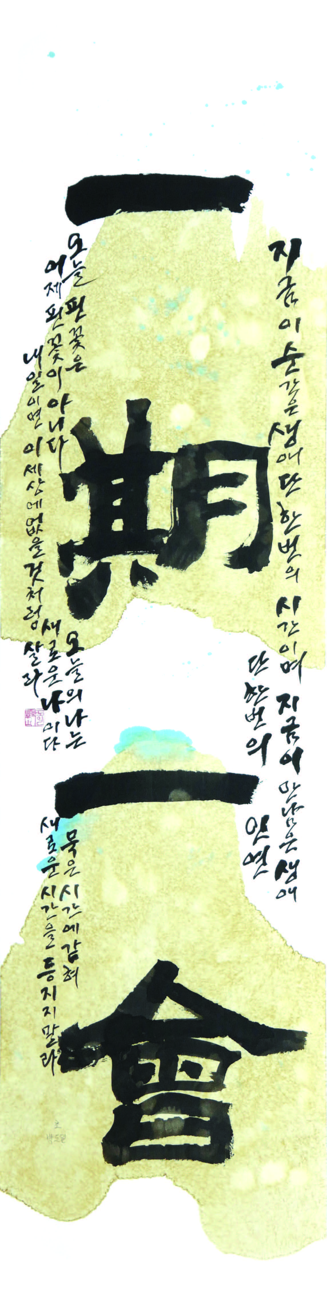 박도일